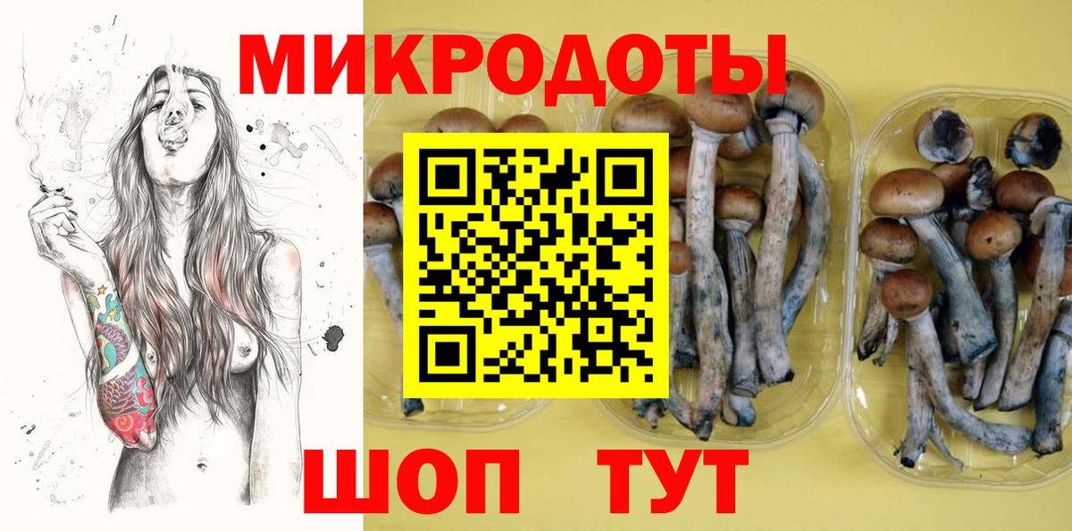 Псилоцибиновые грибы MAGIC MUSHROOMS Северск